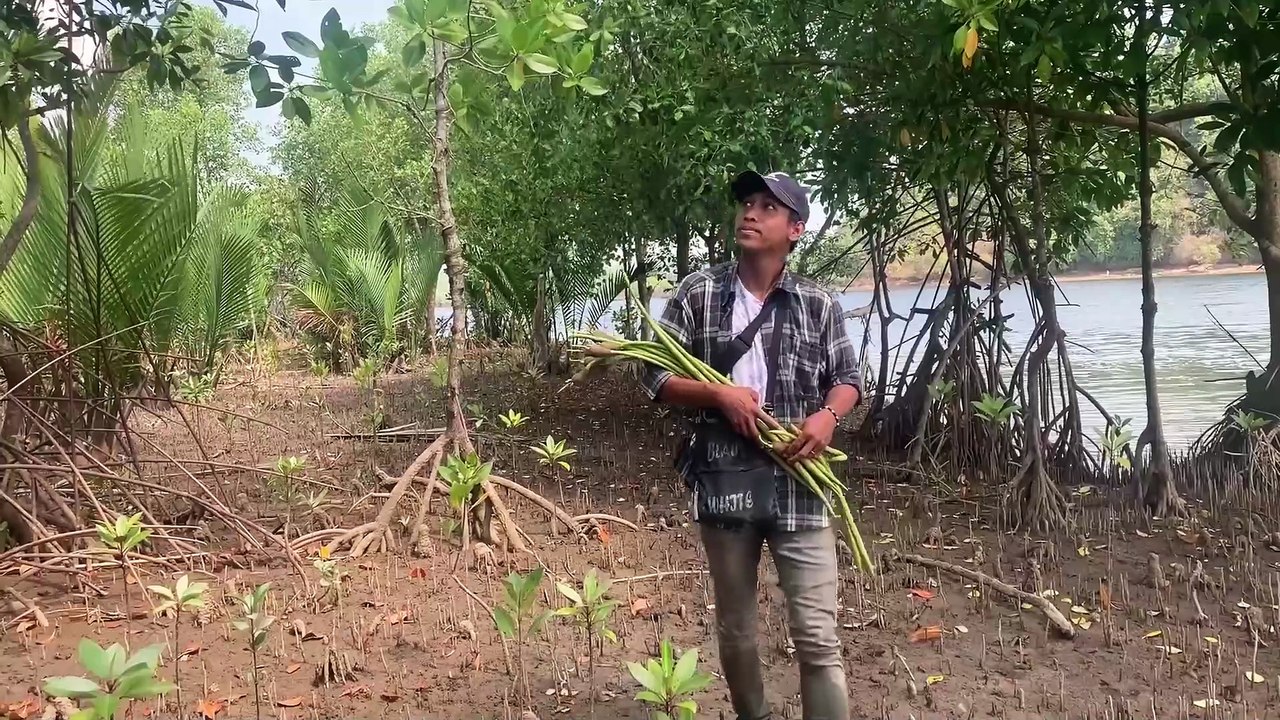 Basic Course Video 5.2