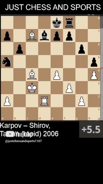 Anatoly Karpov defeats Shirov with a Rook checkmate (2006)