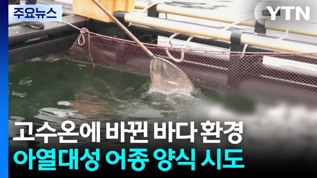 '펄펄' 끓는 바다...횟감도 바뀐다 / YTN
