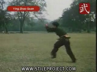 kung fu de  l'aigle