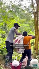 ¿Por qué es tan difícil estudiar en zonas rurales? 🚶‍♂️