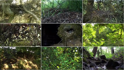 Springwatch 2025 episode 12