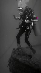 Explore the Stunning Underwater World Off UAE Coasts 🌊