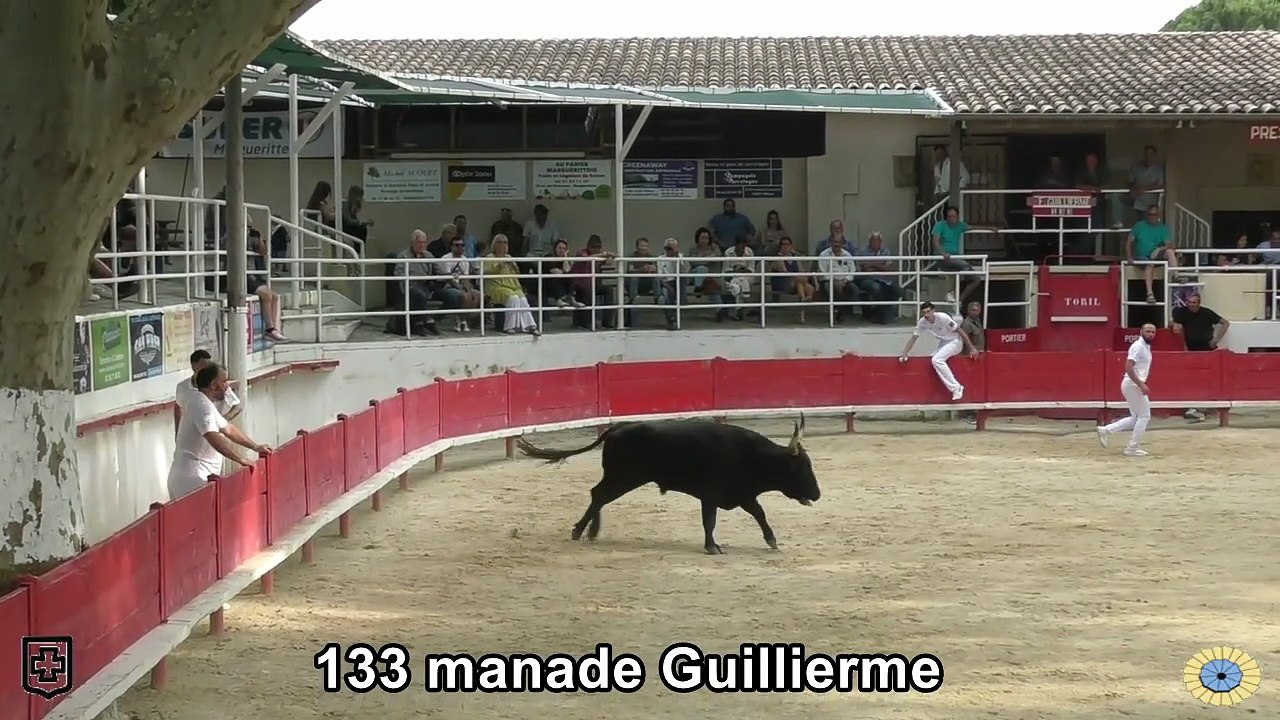 2025 06 06 133 Guillierme