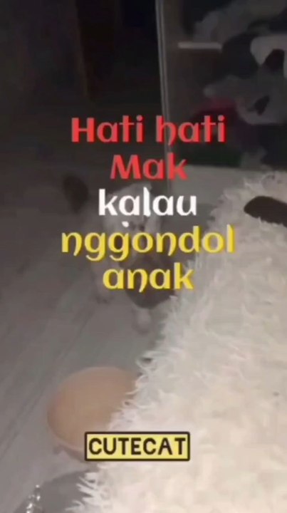 cutecate mother's behavior