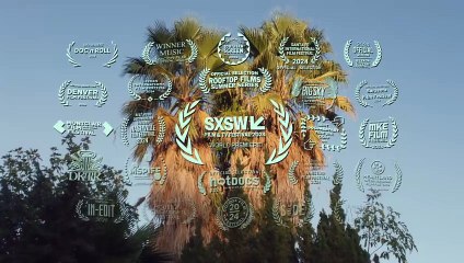 Swamp Dogg Gets His Pool Painted | movie | 2024 | Official Trailer