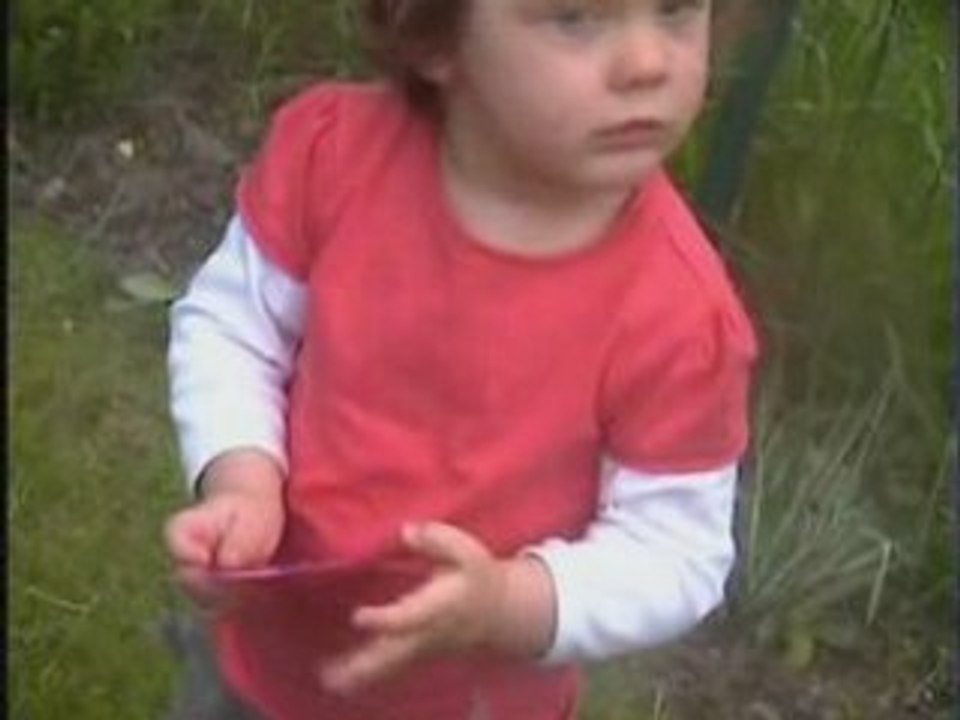 Video romane