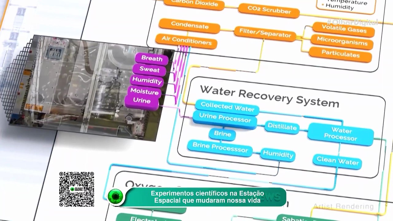 Experimentos científicos na Estação Espacial que mudaram nossa vida