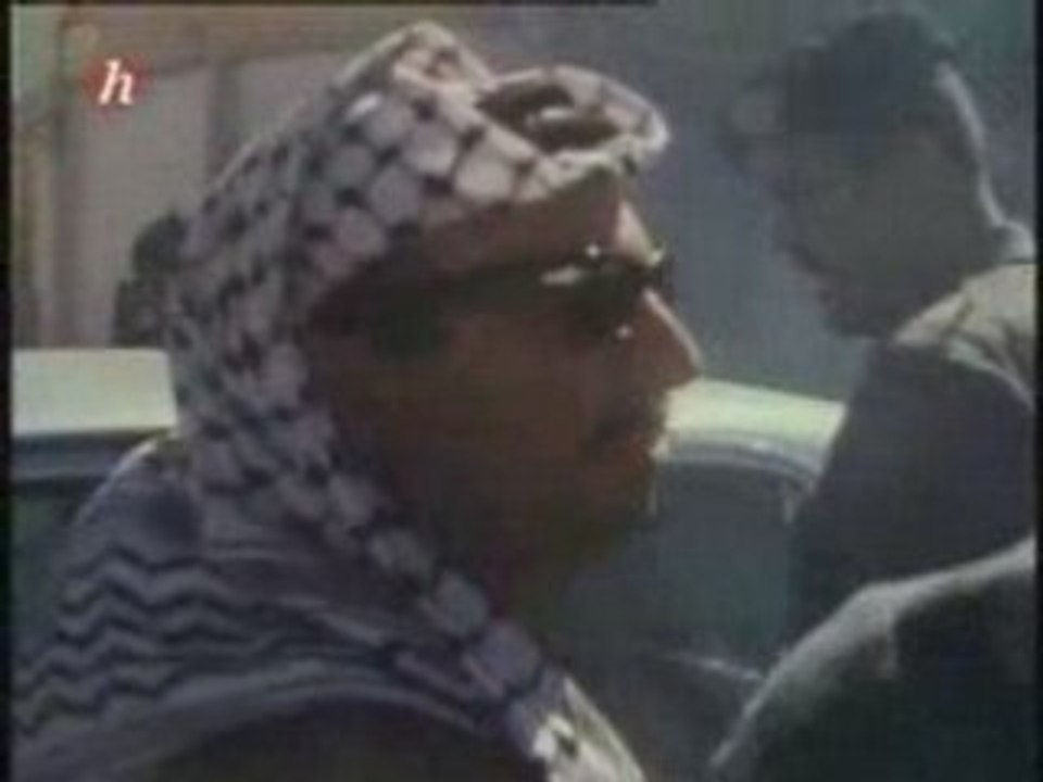 Palestine 5