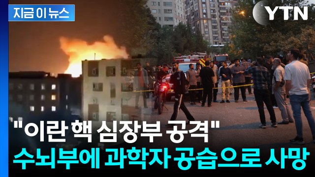 이란 혁명수비대 간부·핵과학자 2명, 이스라엘 공습에 사망 [지금이뉴스] / YTN