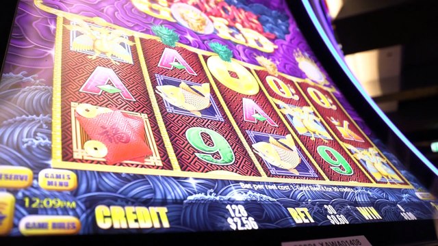 Gambling and poker machines addiction a “blind spot” for NSW