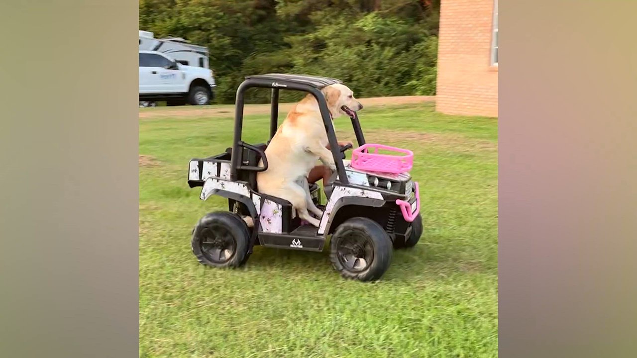 ATVs Through The Ages