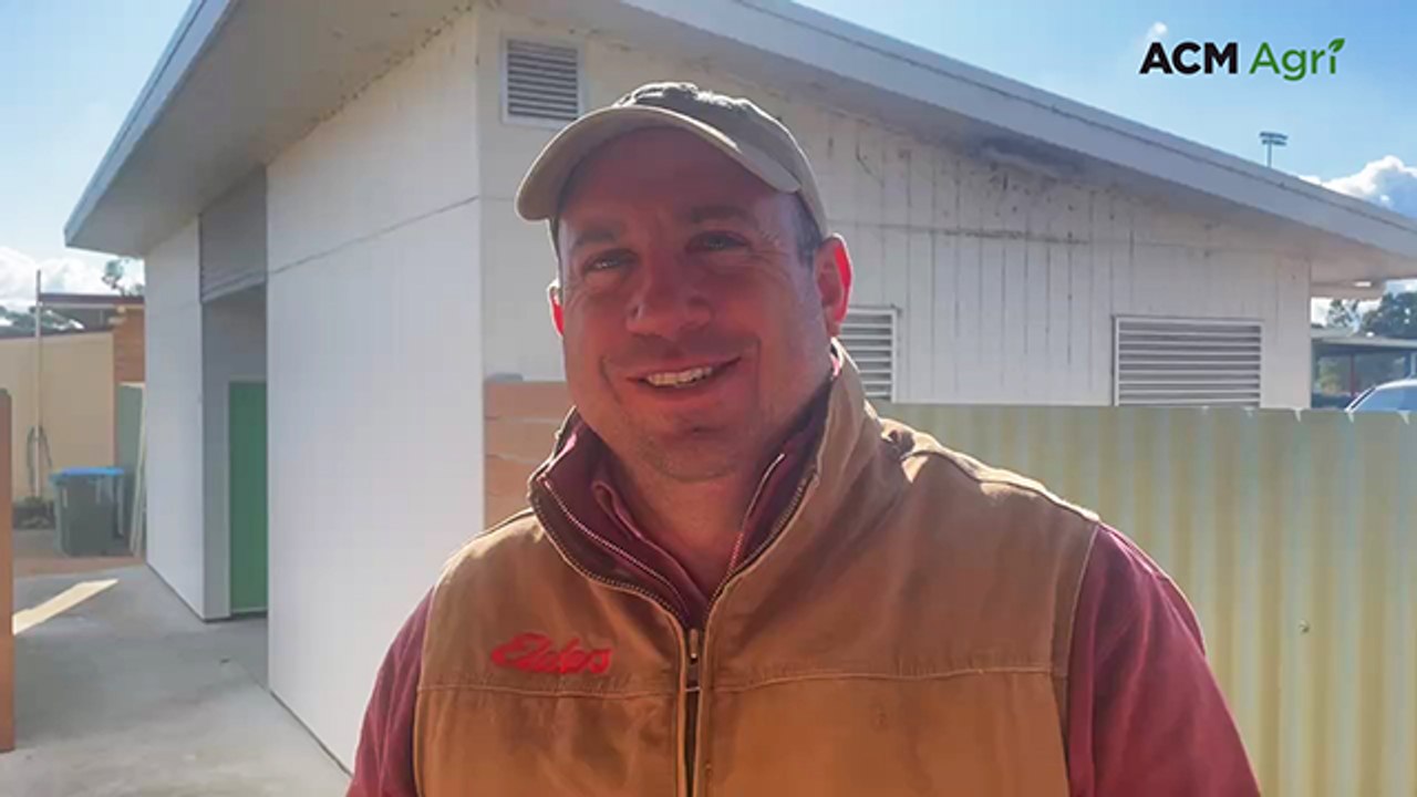 Store market lift flows through to Bairnsdale's latest store cattle sale