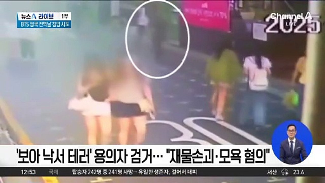 ‘보아 낙서 테러’ 용의자 검거…“재물손괴·모욕 혐의”