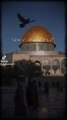 masjid aqsa ki barkat || Suno or jago Muslim !!! 1 million followers