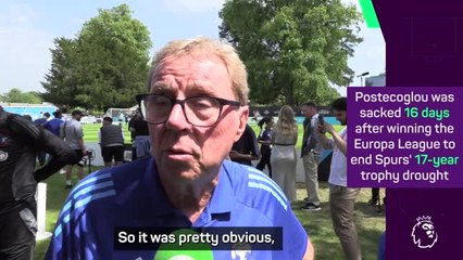 Spurs sacking of Postecoglou was 'inevitable' - Redknapp