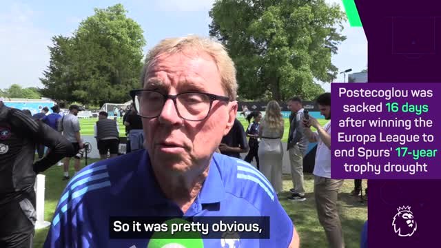 Spurs sacking of Postecoglou was 'inevitable' - Redknapp