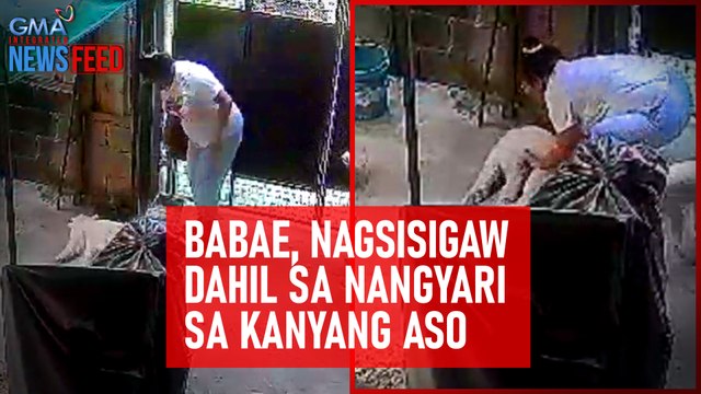 Babae, nagsisigaw dahil sa nangyari sa kanyang aso | GMA Integrated Newsfeed