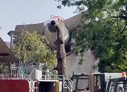 Gujarat Plane Crash: 242 ಪ್ರಯಾಣಿಕರ ಪೈಕಿ ಓರ್ವ ಜೀವಂತ, ಬದುಕುಳಿದಿದ್ದೇ ಪವಾಡ