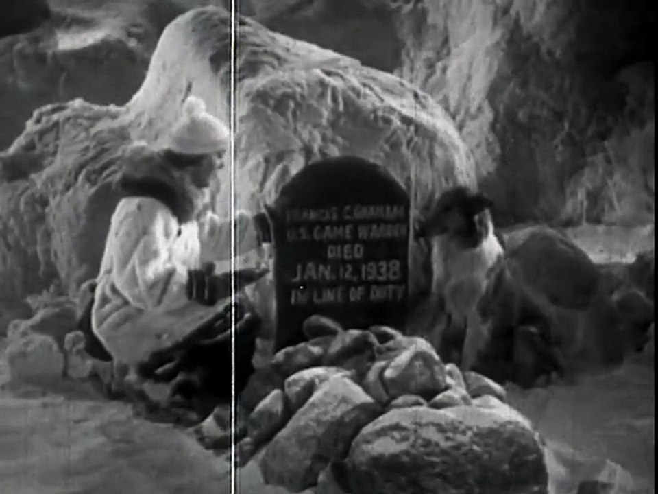 ❄️🐺 Call of the Yukon (1938) | Rugged Survival & Frontier Adventure | Classic Northern Drama 🎬🌨️ #fullmovie