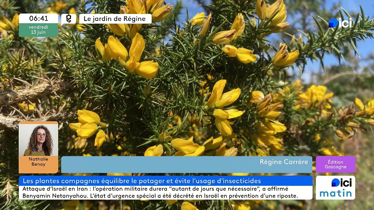 13/06/2025 - ici matin par ici Gascogne en vidéo