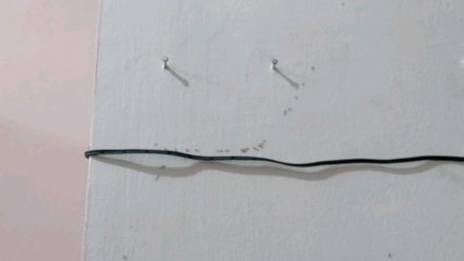 🐜 are very hard labours