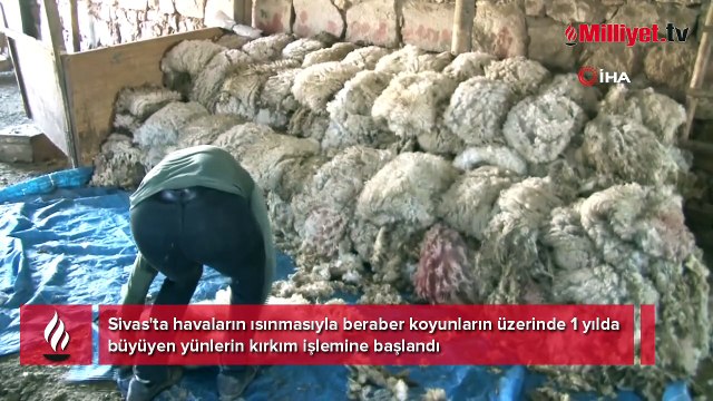Tam 25 yıldır bu işi yapıp para kazanıyor! Sadece 1 buçuk dakika sürüyor