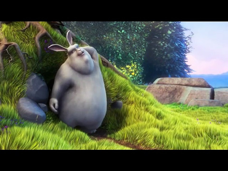 conejoso 5 DM