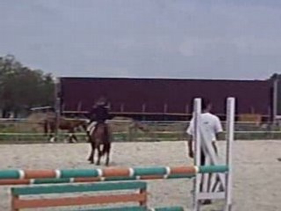 Moi et Pin's
