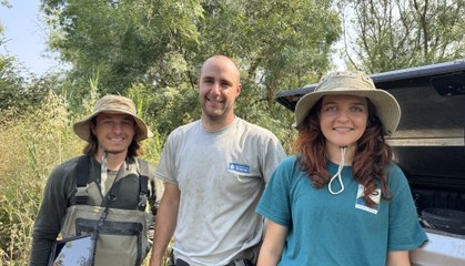 Suivis des cistudes d'Europe en cœur de la Réserve du Bagnas