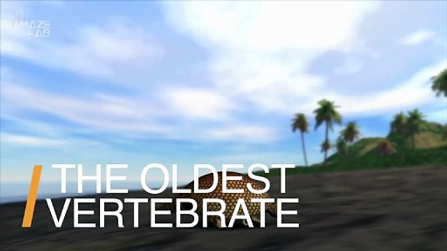 New 3D Renders of Oldest Vertebrate Fossil Offer Clues to Human Evolution.mp4