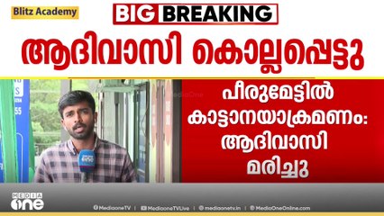 വീണ്ടും കാട്ടാനക്കലി: കൊല്ലപ്പെട്ട സീത പോയത് വനവിഭവങ്ങൾ ശേഖരിക്കാൻ...