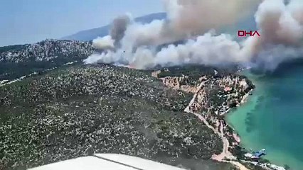 İzmir'de ormanlık alanda yangın