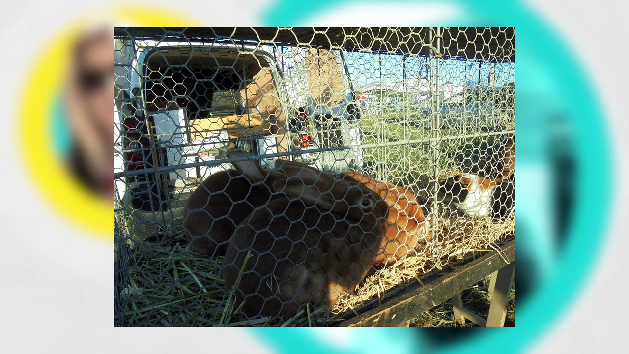 Sainte-Agathe-la-Bouteresse, eps4 : les foires incontournables