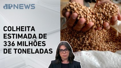 Brasil deve bater recorde na safra de grãos em 2024/25, dizem Conab e IBGE; Mariana Grilli comenta