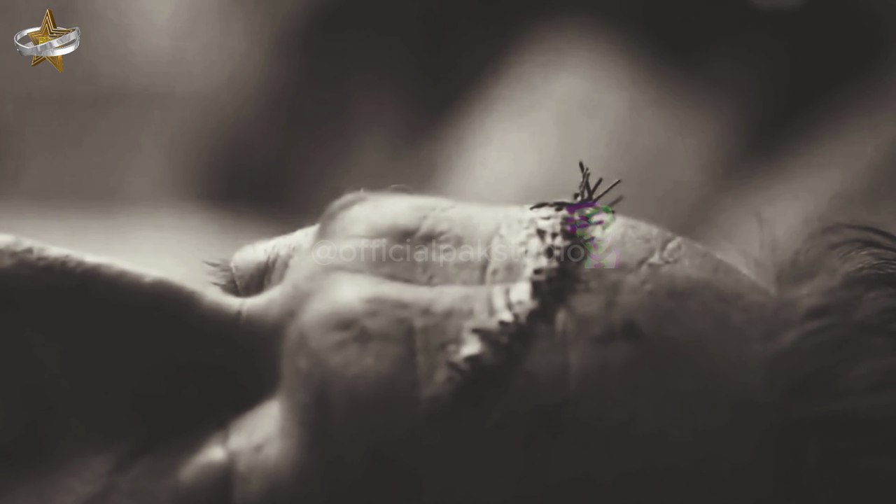 Tere Liye Song | Veer-Zaara | Salma Mehr | Female Emotional Version | PakStudio