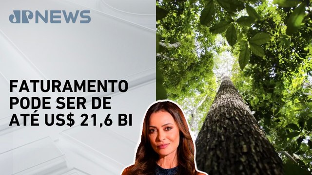 Amazônia pode gerar mais de US$ 10 bilhões com créditos de carbono até 2030; Patrícia Costa comenta