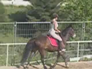 Lulu et mystere trot+arret