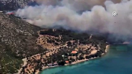 İzmir'de çıkan orman yangına müdahale ediliyor