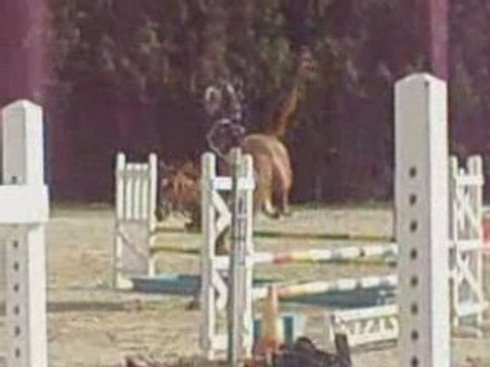 Cheval à vendre SF par DOUBLE D'ELLE