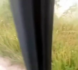 Boi “pega ar” derruba motoqueiro e parte pra cima de viatura da PM na Bahia