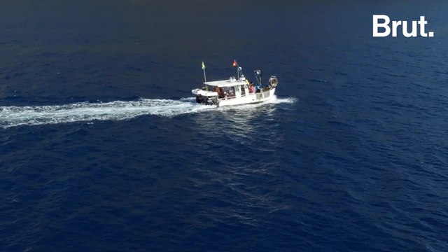 Ils ont décidé de s'auto-interdire de pêcher pour préserver les poissons de la Méditerranée
