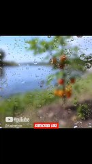 Psalms 3 Malayalam Audio Bible