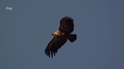 24 Horas en la Tierra: Cambios, Belleza y Drama Diario