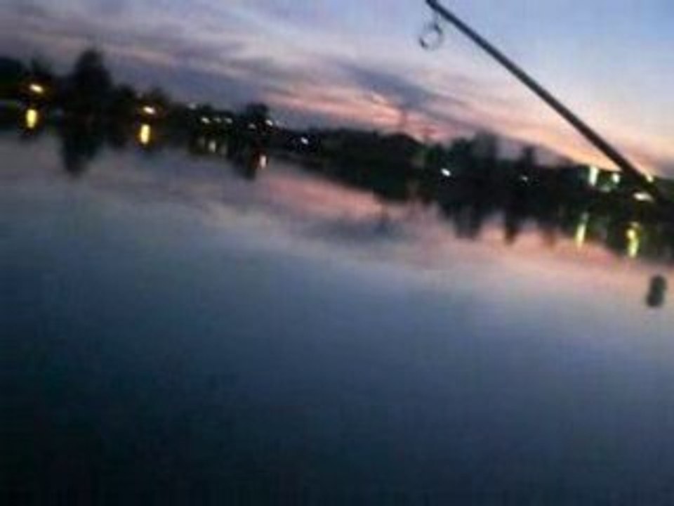 carpe en action