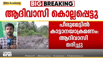 പീരുമേട് കാട്ടാനയാക്രമണം: കൊല്ലപ്പെട്ട സീതയുടെ കുടുംബത്തിന് നഷ്ടപരിഹാരം ഉറപ്പാക്കുമെന്ന് വനം വകുപ്പ്