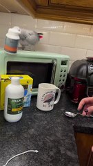 Unbelievably Smart Parrot! / Papagal incredibil de inteligent!