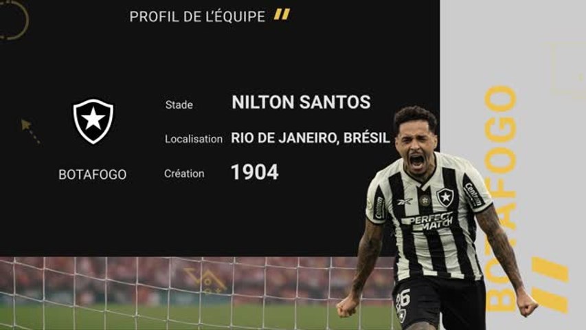 Botafogo : le profil de l'équipe