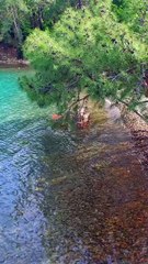 Dining in Nature – Feet in the Water / Masa în natură, cu picioarele în apă