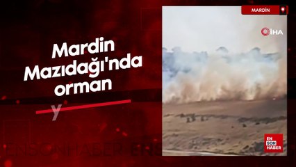 Mardin Mazıdağı'nda orman yangını